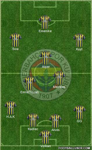 Fenerbahçe SK Formation 2013