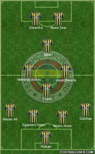 Fenerbahçe SK Formation 2013