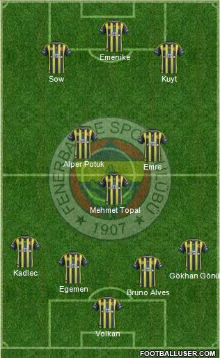 Fenerbahçe SK Formation 2013