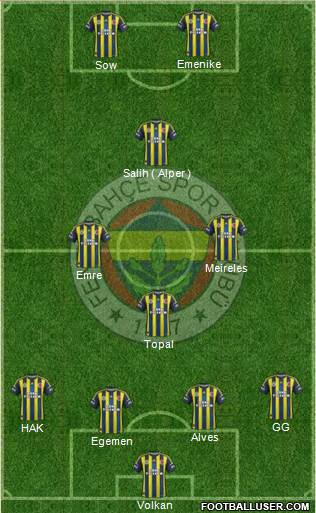 Fenerbahçe SK Formation 2013
