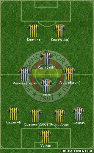 Fenerbahçe SK Formation 2013