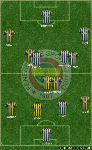 Fenerbahçe SK Formation 2013