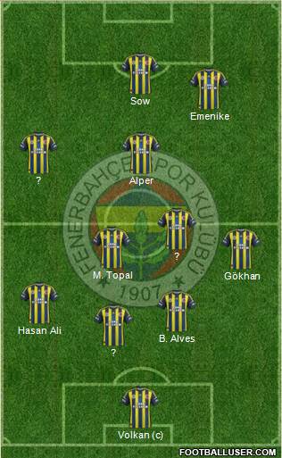 Fenerbahçe SK Formation 2013