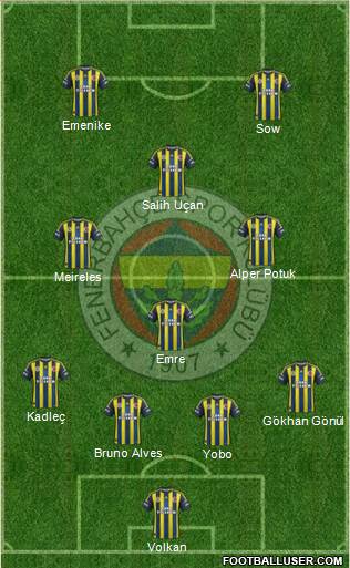 Fenerbahçe SK Formation 2013