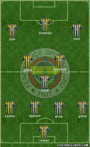 Fenerbahçe SK Formation 2013