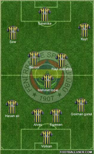Fenerbahçe SK Formation 2013