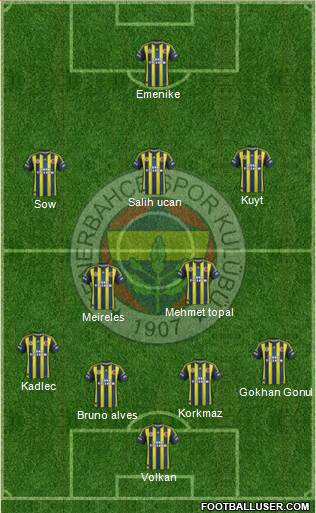 Fenerbahçe SK Formation 2013