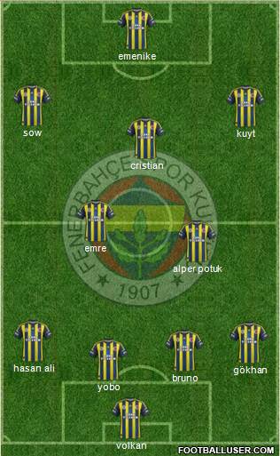 Fenerbahçe SK Formation 2013