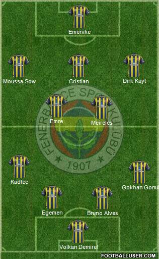 Fenerbahçe SK Formation 2013