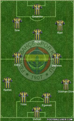 Fenerbahçe SK Formation 2013
