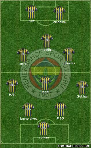 Fenerbahçe SK Formation 2013