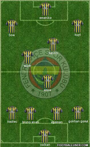 Fenerbahçe SK Formation 2013