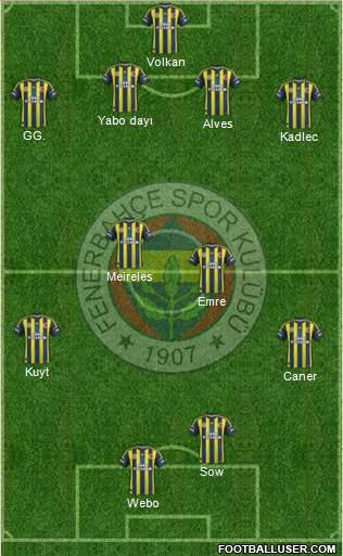 Fenerbahçe SK Formation 2013