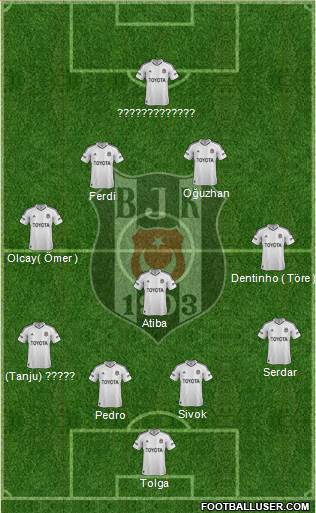Besiktas JK Formation 2013