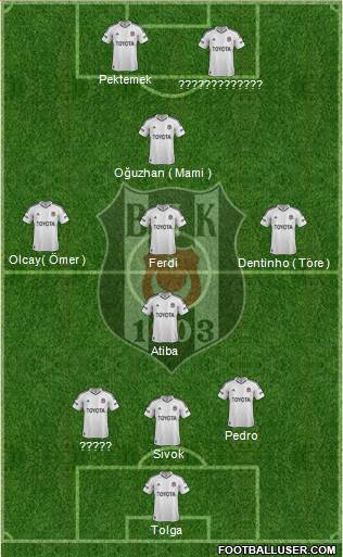 Besiktas JK Formation 2013