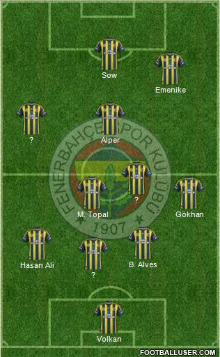 Fenerbahçe SK Formation 2013
