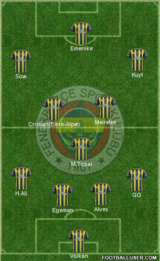 Fenerbahçe SK Formation 2013