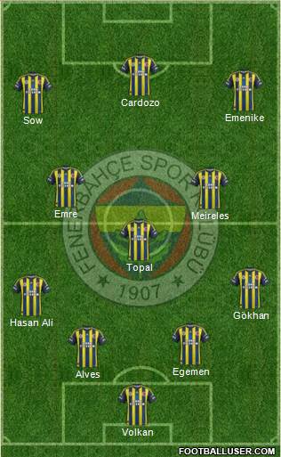 Fenerbahçe SK Formation 2013