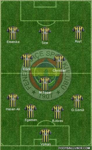 Fenerbahçe SK Formation 2013