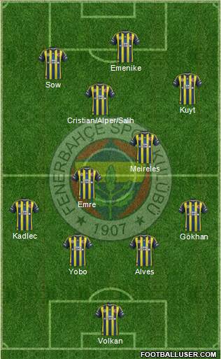 Fenerbahçe SK Formation 2013