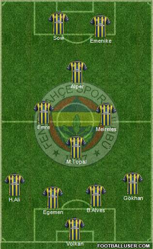 Fenerbahçe SK Formation 2013