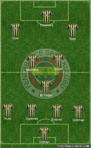 Fenerbahçe SK Formation 2013