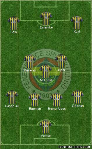 Fenerbahçe SK Formation 2013