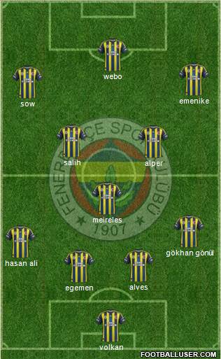Fenerbahçe SK Formation 2013