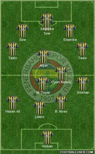 Fenerbahçe SK Formation 2013