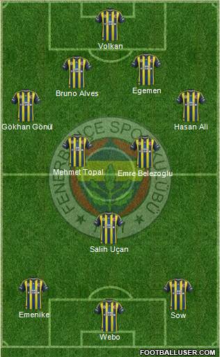 Fenerbahçe SK Formation 2013