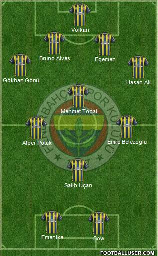 Fenerbahçe SK Formation 2013
