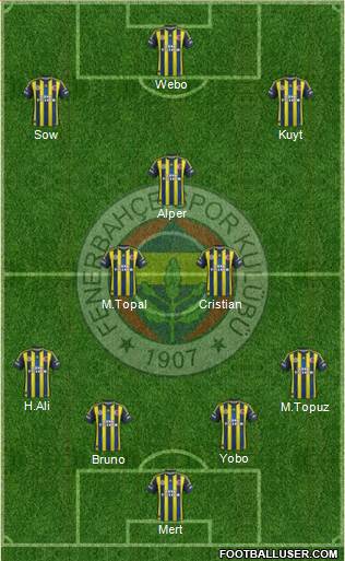 Fenerbahçe SK Formation 2013