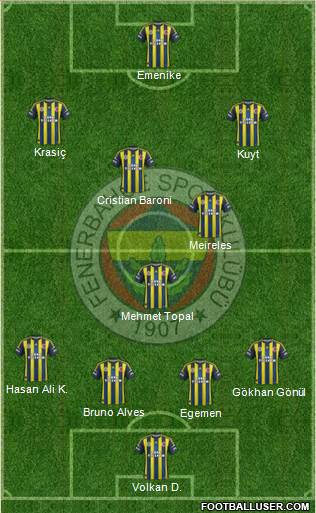 Fenerbahçe SK Formation 2013