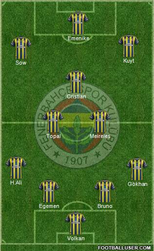 Fenerbahçe SK Formation 2013