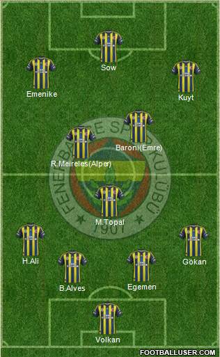 Fenerbahçe SK Formation 2013