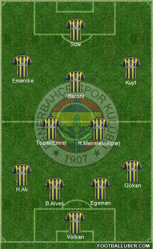 Fenerbahçe SK Formation 2013