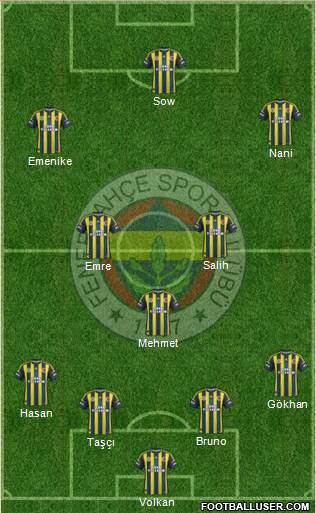 Fenerbahçe SK Formation 2013