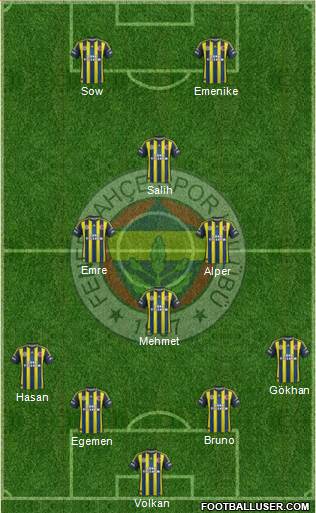Fenerbahçe SK Formation 2013