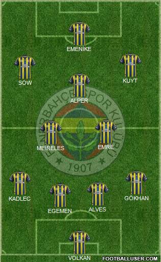 Fenerbahçe SK Formation 2013