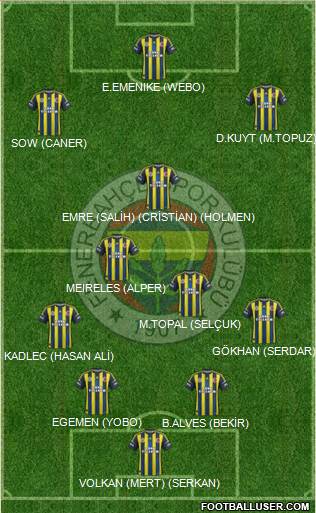 Fenerbahçe SK Formation 2013