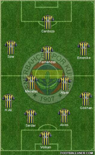 Fenerbahçe SK Formation 2013
