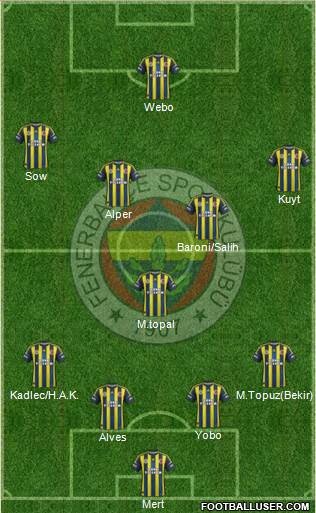 Fenerbahçe SK Formation 2013