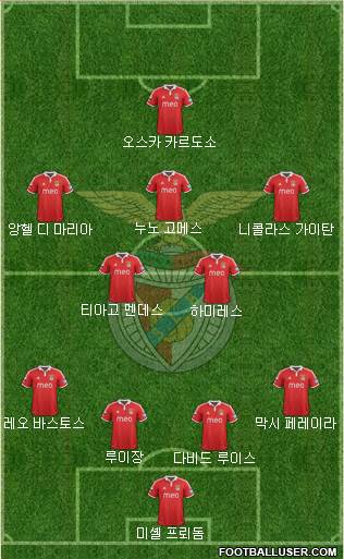 Sport Lisboa e Benfica - SAD Formation 2013