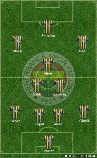 Fenerbahçe SK Formation 2013