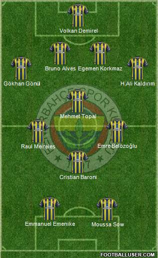 Fenerbahçe SK Formation 2013