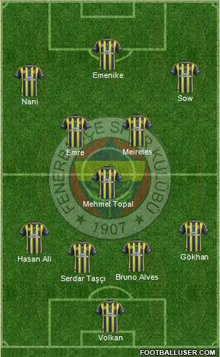 Fenerbahçe SK Formation 2013