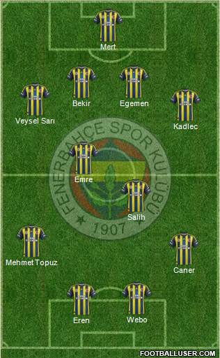 Fenerbahçe SK Formation 2013