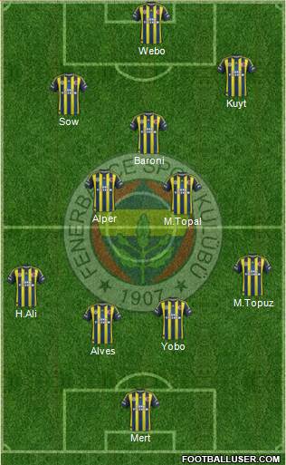 Fenerbahçe SK Formation 2013