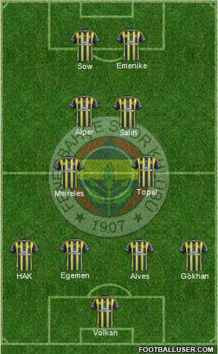 Fenerbahçe SK Formation 2013