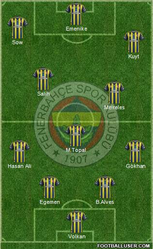 Fenerbahçe SK Formation 2013